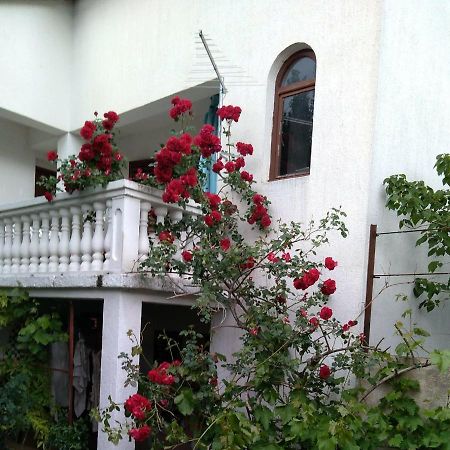 Apartman Sunce Raslina 外观 照片