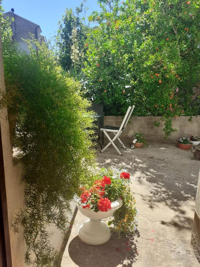 Apartman Sunce Raslina 外观 照片