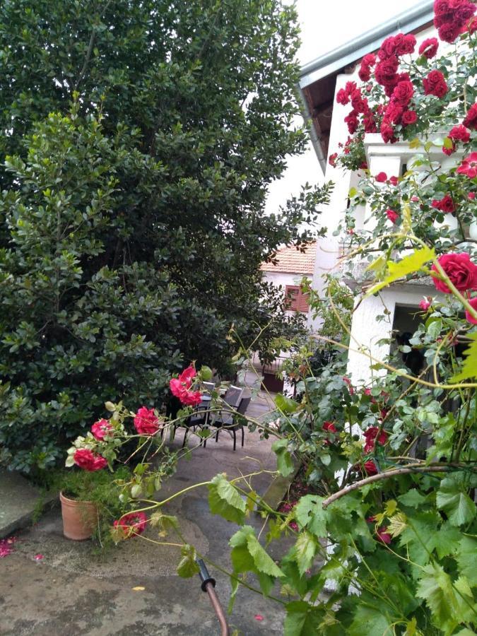 Apartman Sunce Raslina 外观 照片