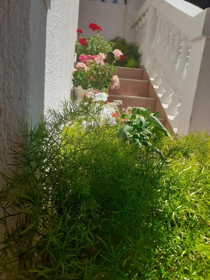 Apartman Sunce Raslina 外观 照片