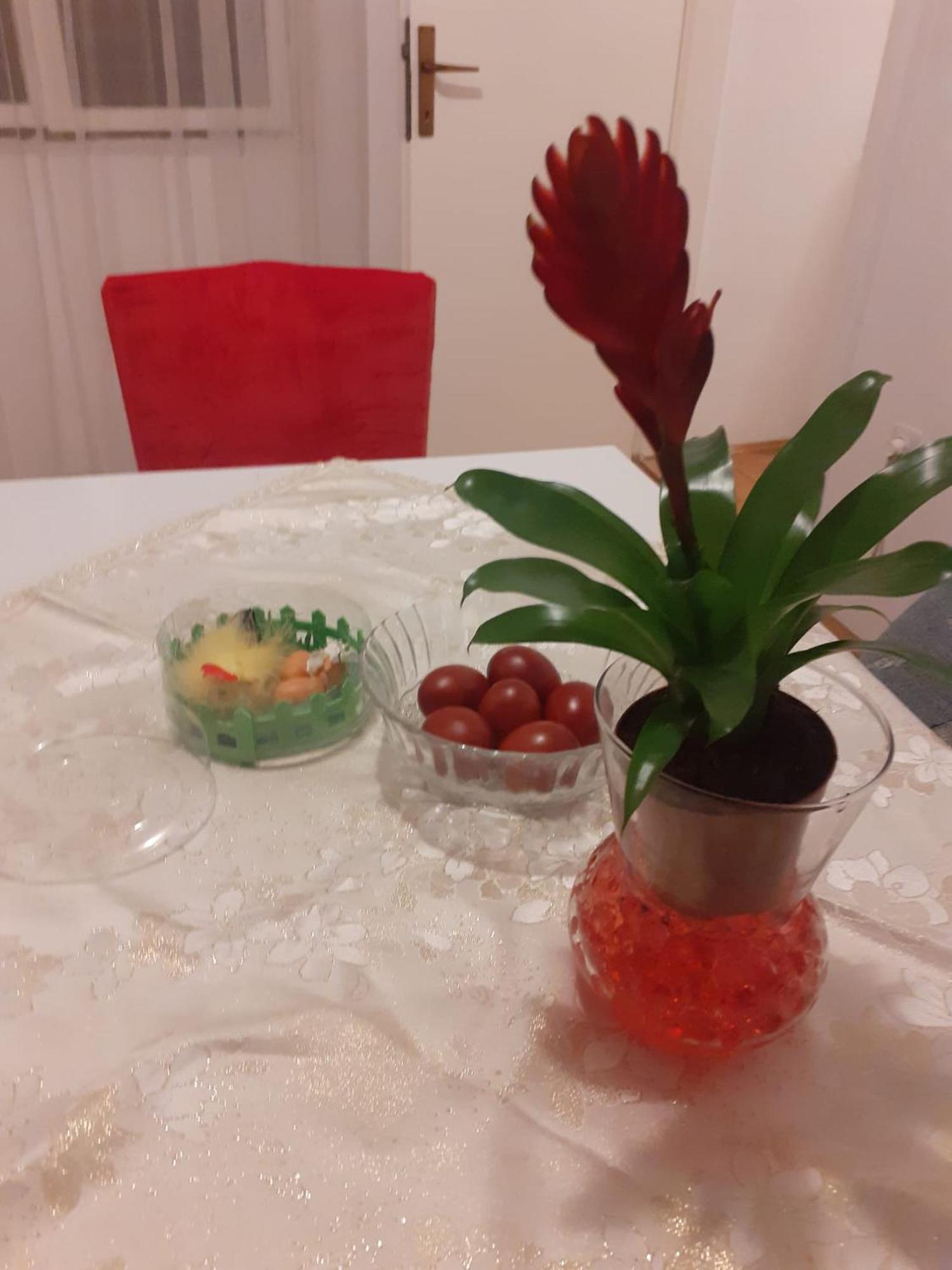 Apartman Sunce Raslina 外观 照片