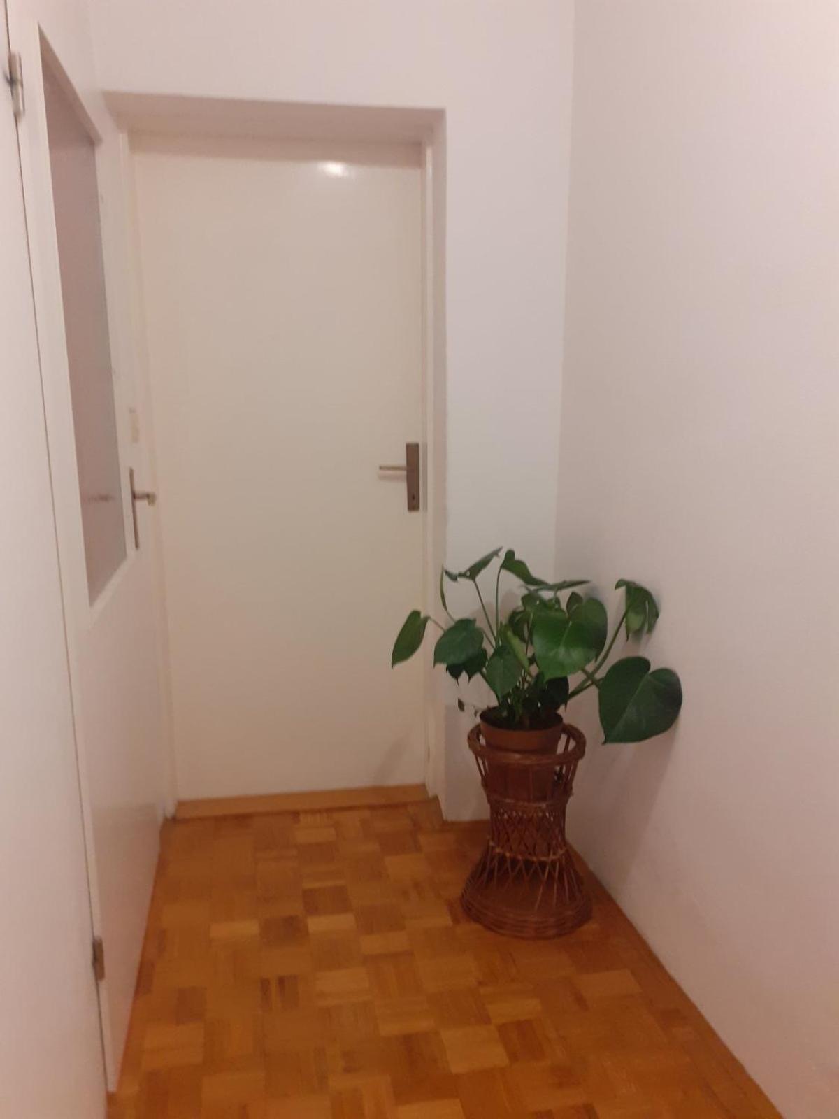 Apartman Sunce Raslina 外观 照片