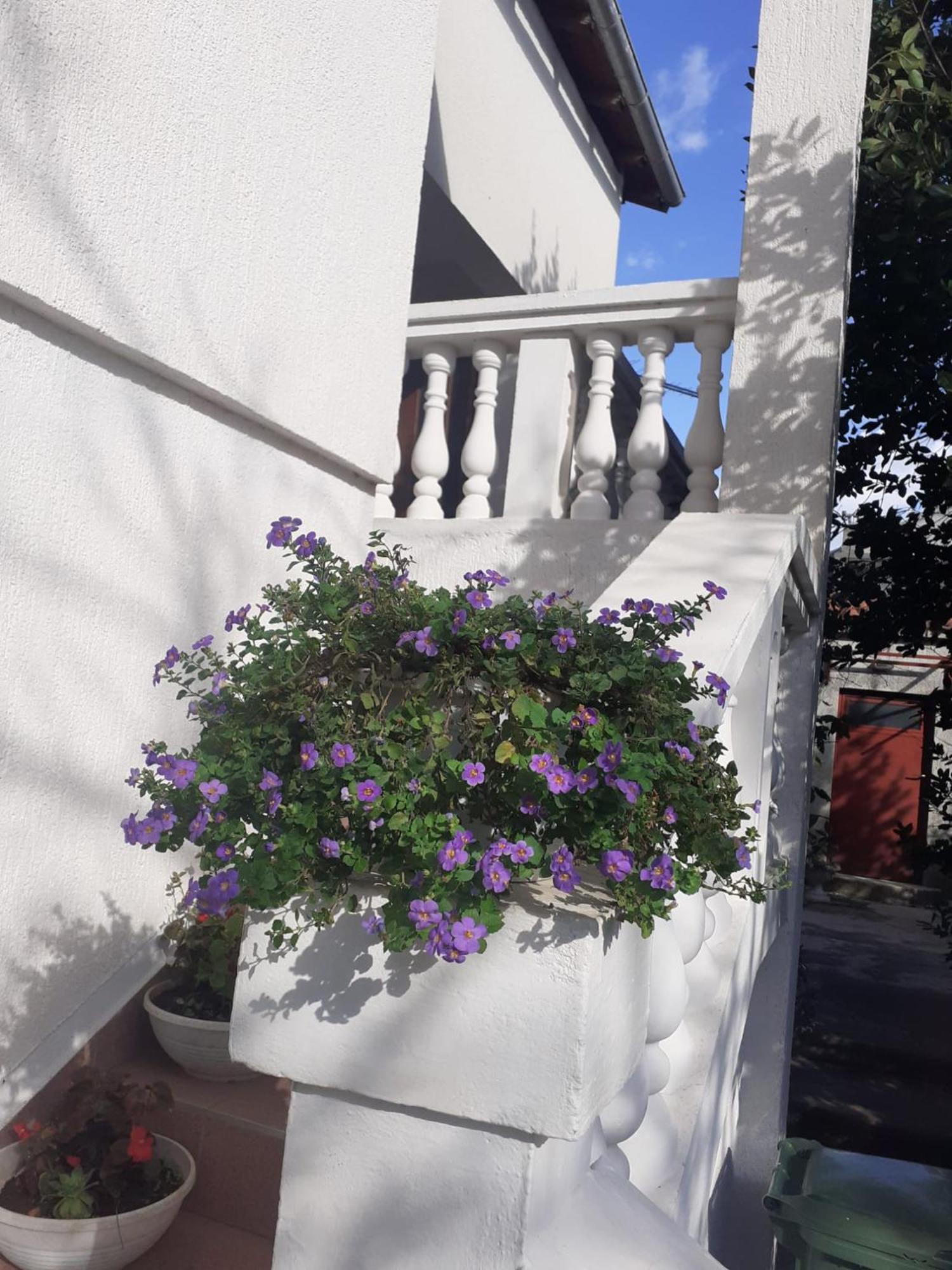 Apartman Sunce Raslina 外观 照片