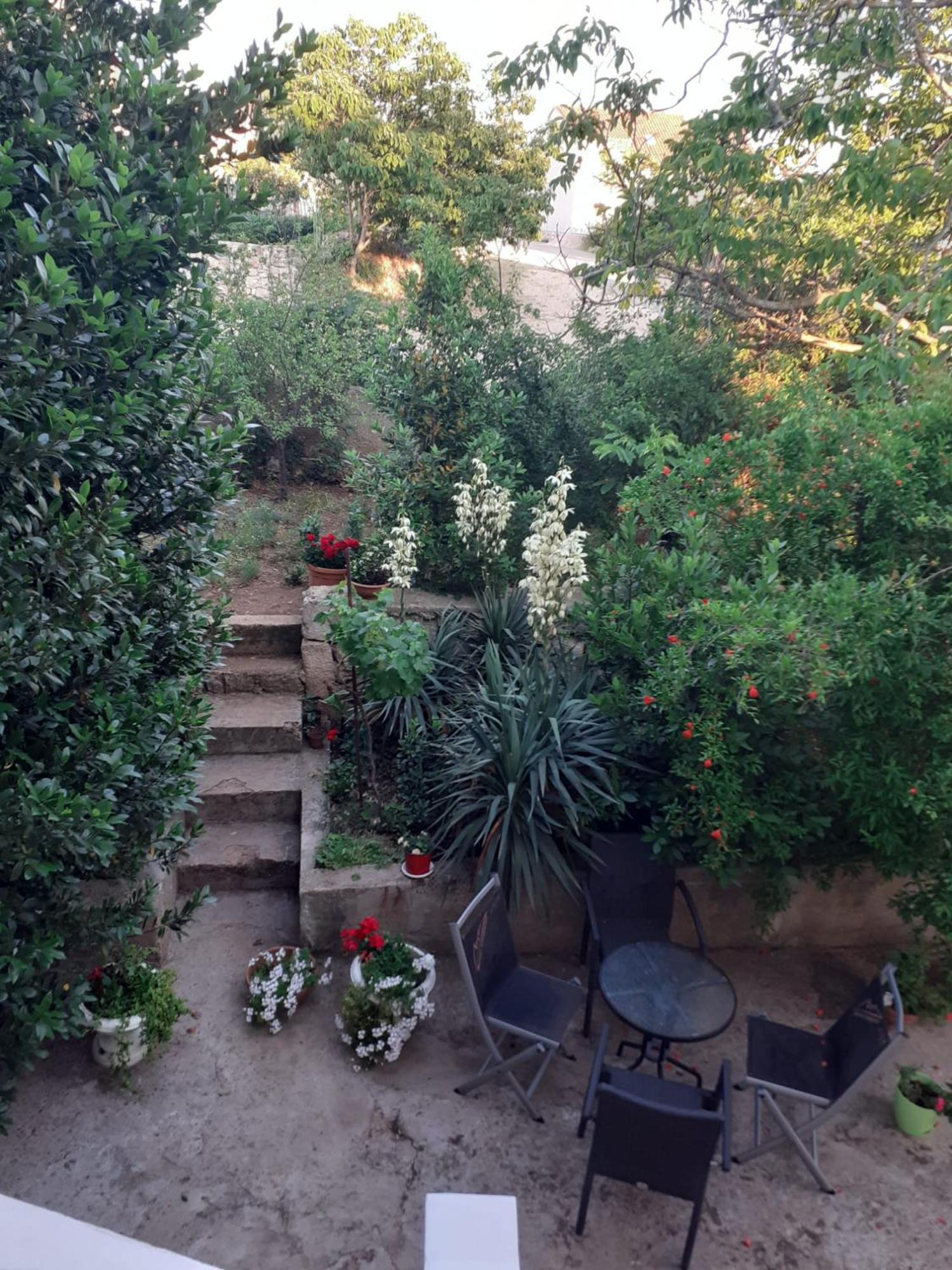 Apartman Sunce Raslina 外观 照片