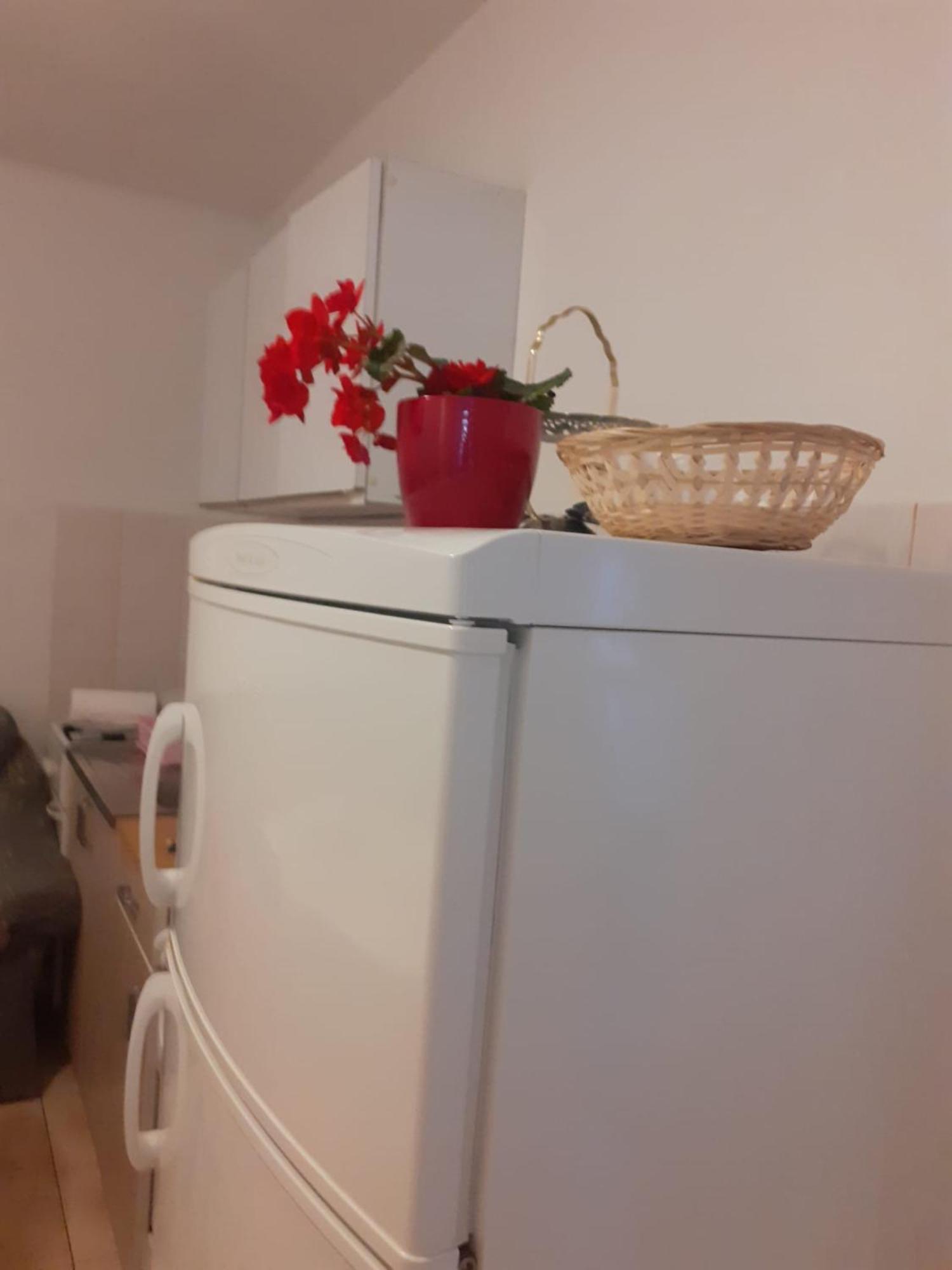 Apartman Sunce Raslina 外观 照片